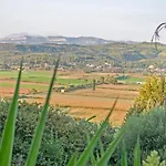Oasis Olympia Smila