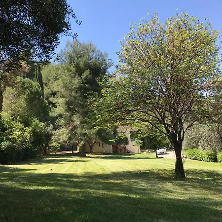 Εξοχικό σπίτι Oasis Olympia Smila