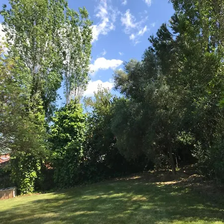 Oasis Olympia * Smila