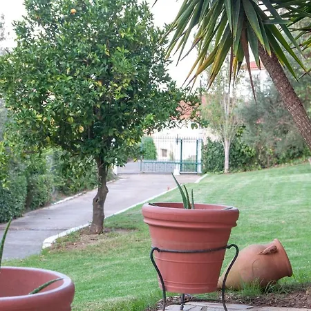 Casa rural Oasis Olympia Smila