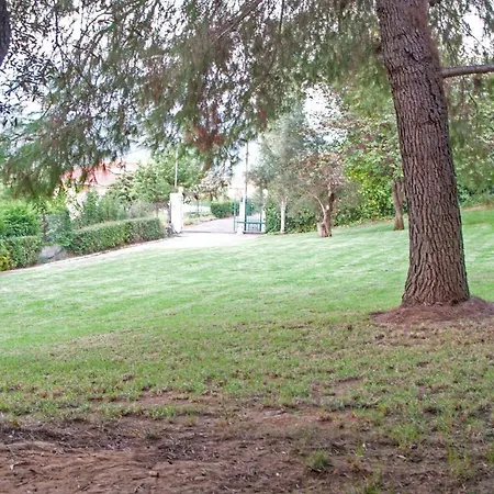 Oasis Olympia