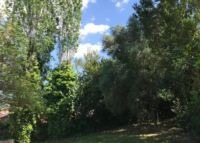 Oasis Olympia * Smila